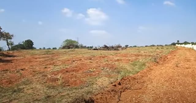 Trending Projects Image