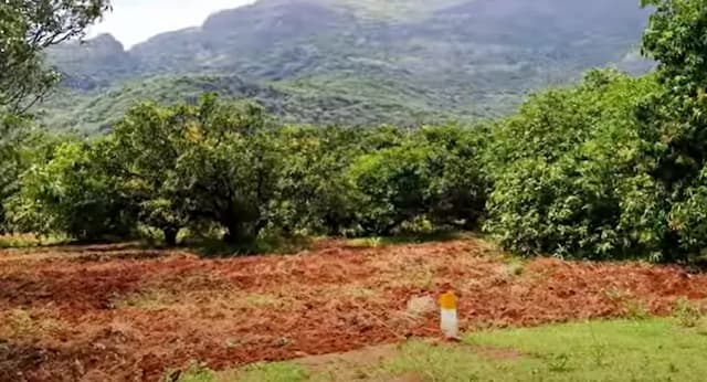 Trending Projects Image