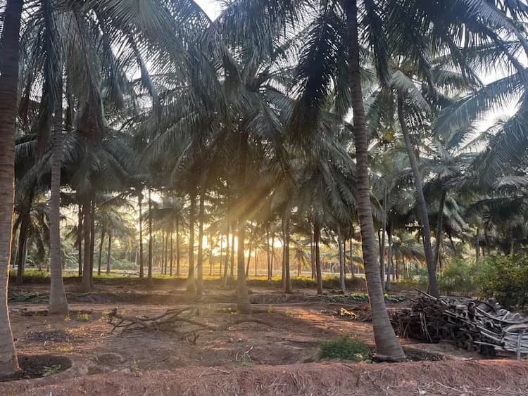 Single Property Image