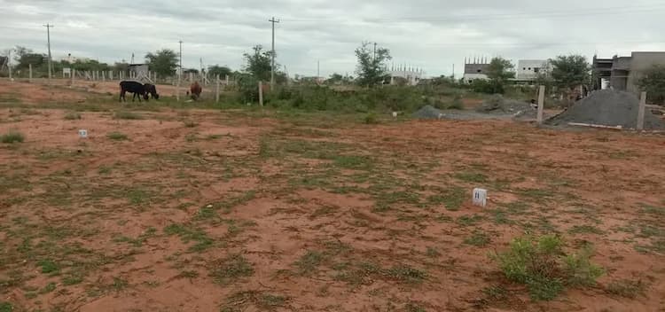1548 sqft Plot