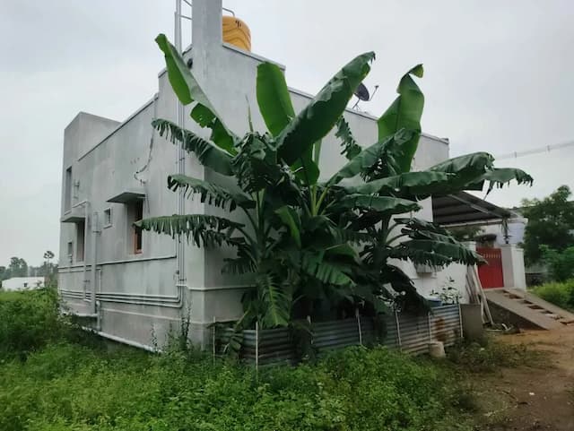 Trending Projects Image