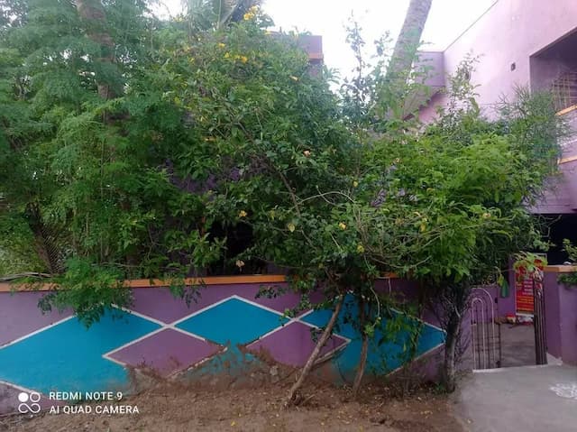 Trending Projects Image