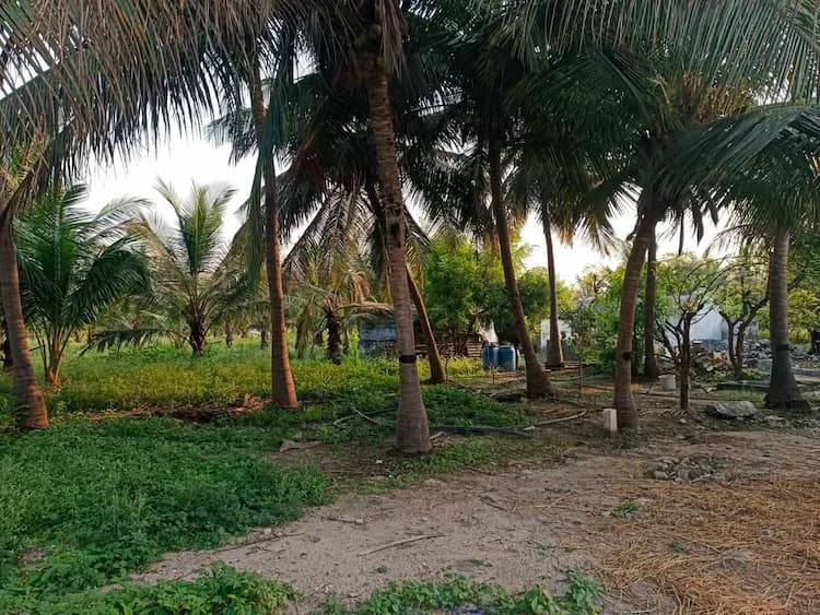 Single Property Image