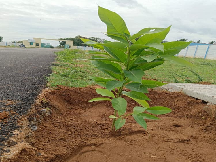 Single Property Image