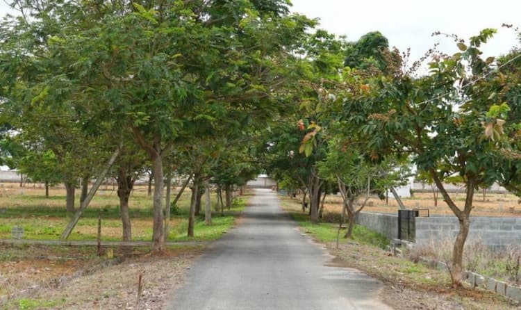 Single Property Image