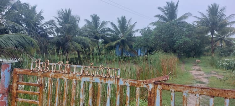 FISH FORM FOR SALE @ MELATTUR (THITTAI)
