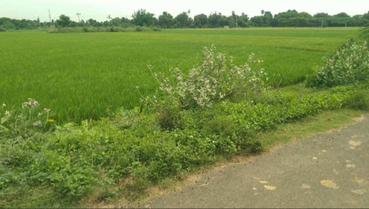 Single Property Image