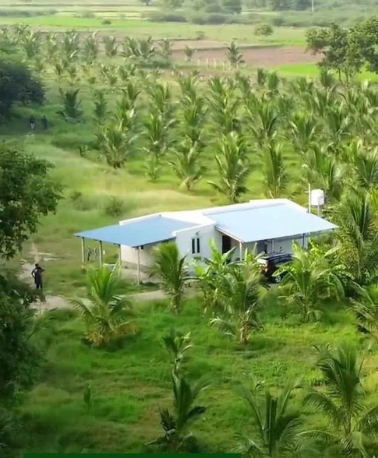 Coconut Farm for Sale