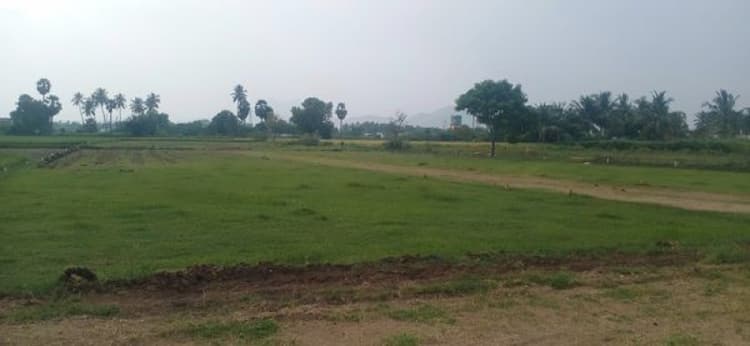 Ilai Nagar Plot for Sale