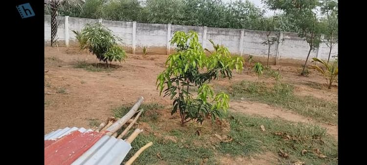  Punjai Agriculture Farm land for sale