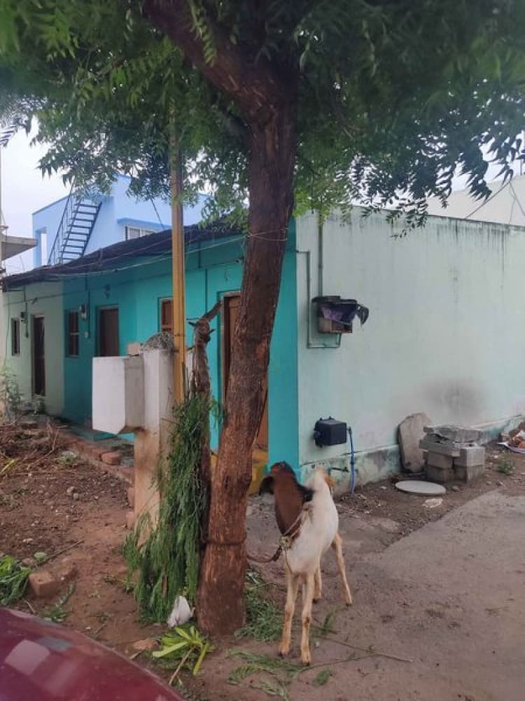 Single Property Image