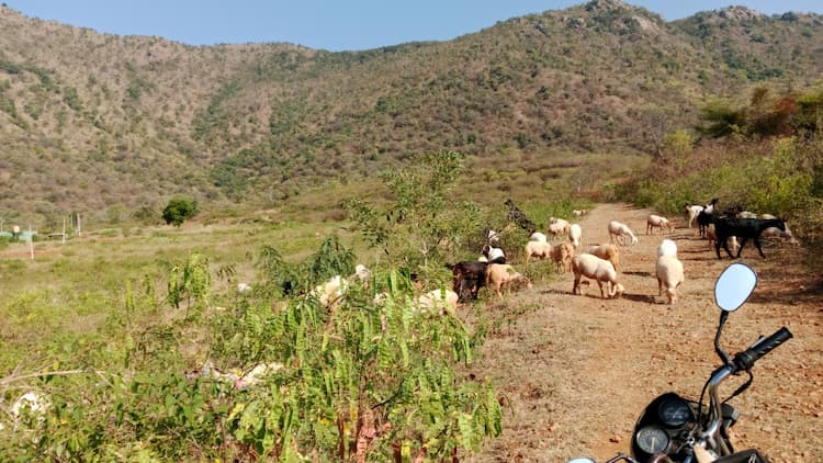 Single Property Image