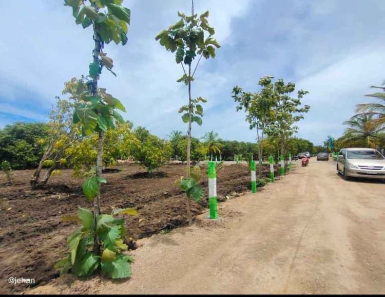 Single Property Image