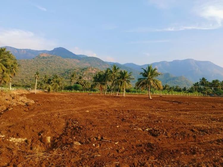 Empty Agri Land for Sale