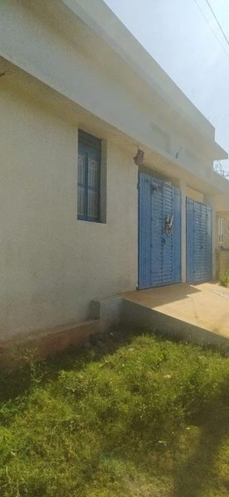 Company Building for Sale