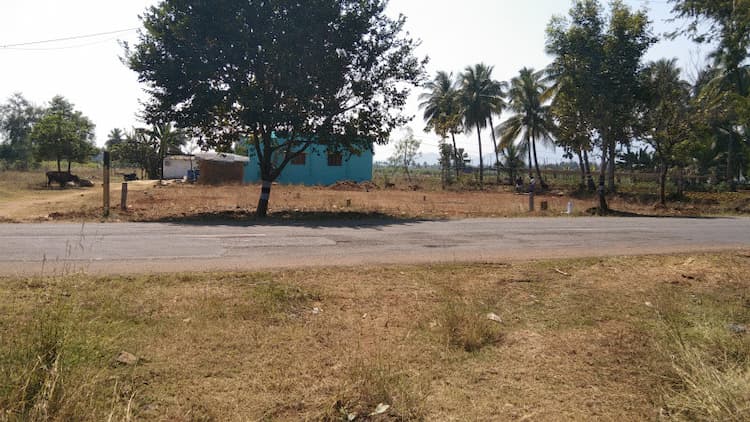 Single Property Image