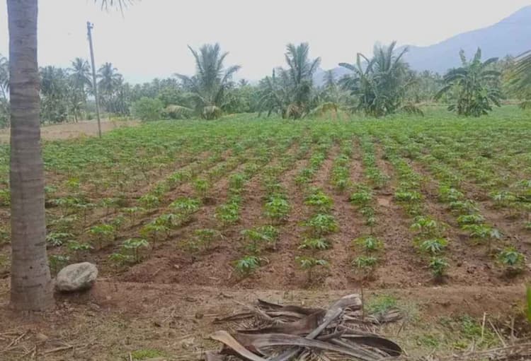 Single Property Image