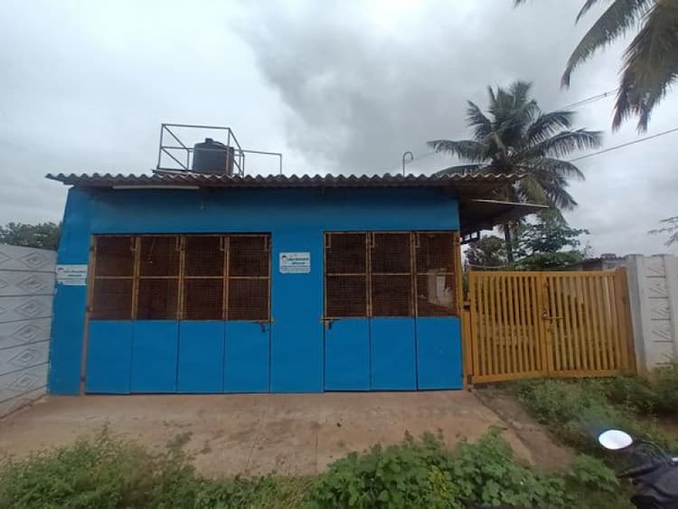 House With Shop For Sale