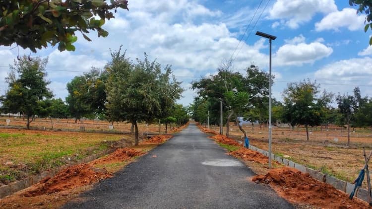 Single Property Image