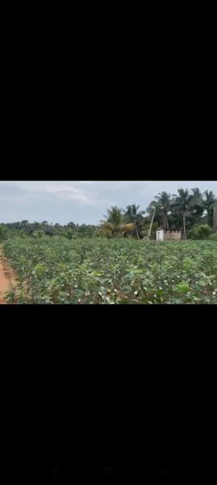 Farm land sale