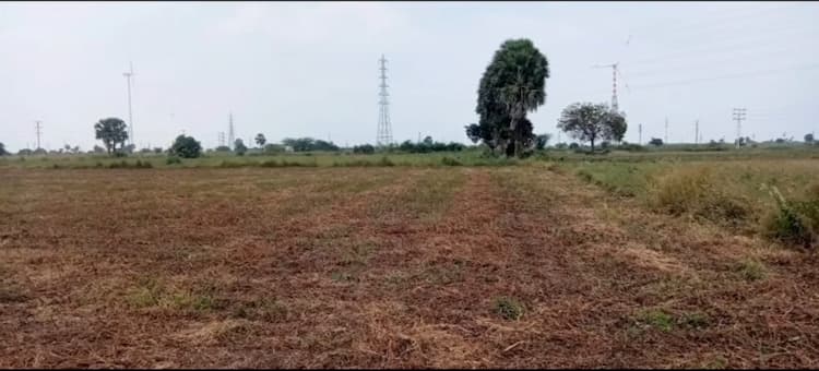 5 Acre Land for Sale