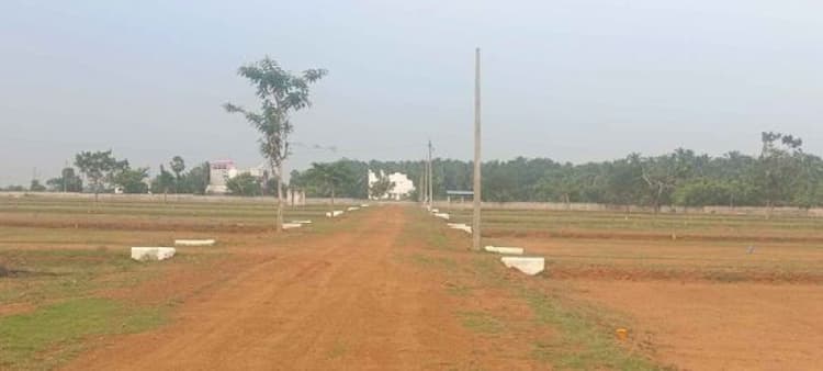 Single Property Image