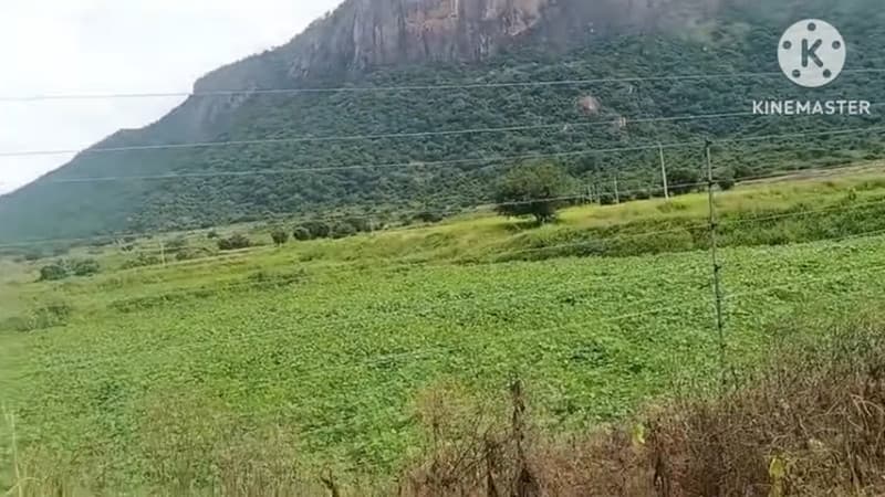 Featured Property Image