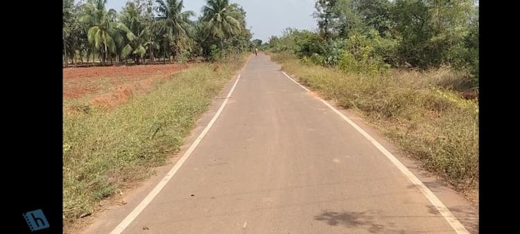 Red Soil Agric Land Sale 