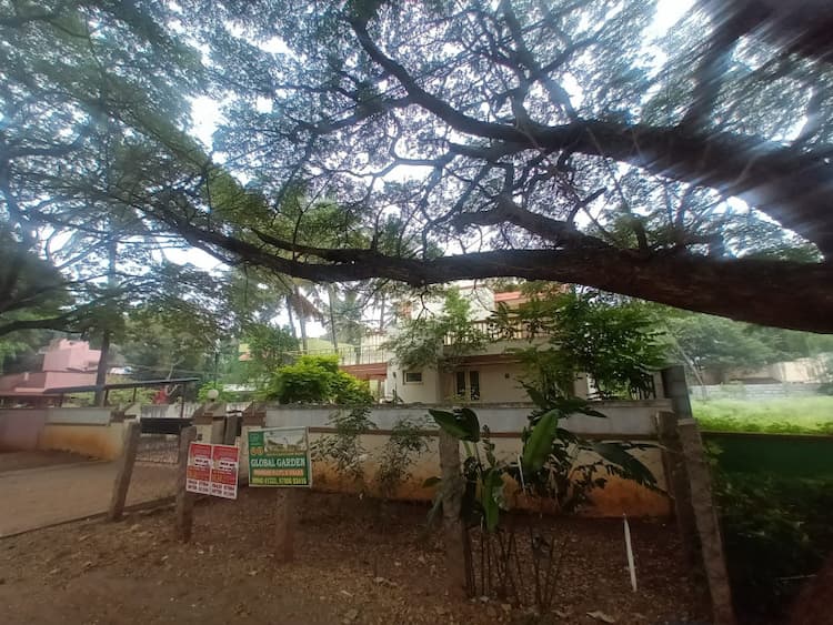 Old individual house for sale 