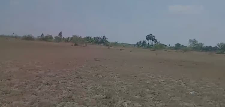 100 Acre land for sales