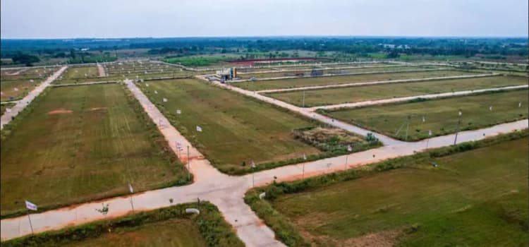 Single Property Image