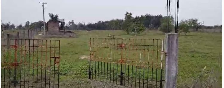 Punjai Nilam for Sales