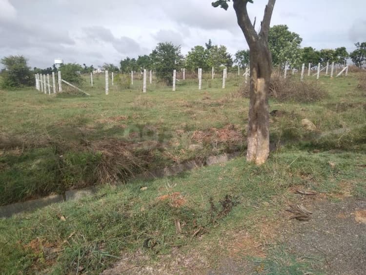 Green valley parms , Bagalur, Hosur, Tamil Nadu