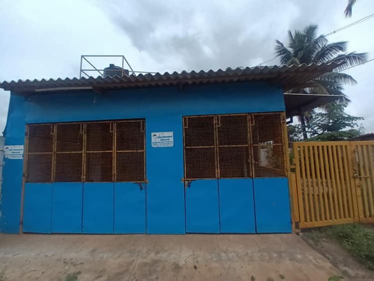 Single Property Image