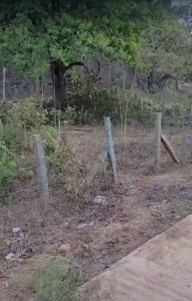 Trending Projects Image