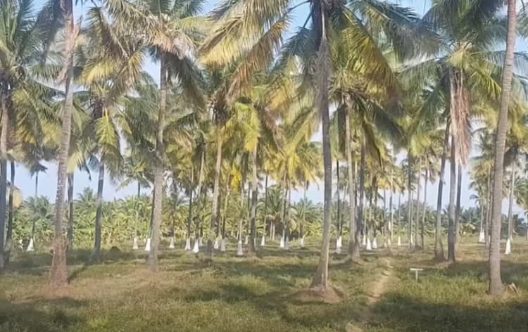 Single Property Image